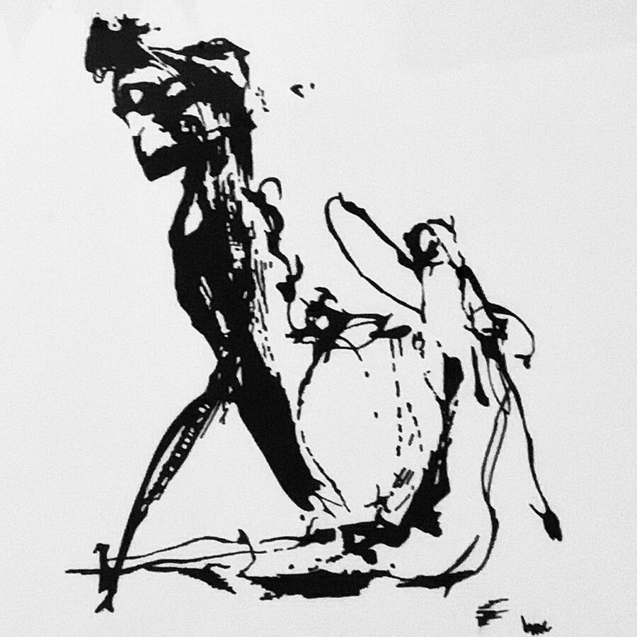 The Matador